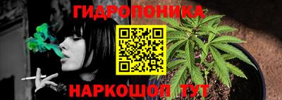 ECSTASY Кунгур