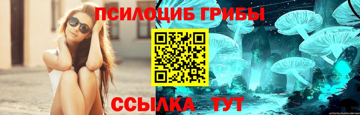 Псилоцибиновые грибы MAGIC MUSHROOMS  Вход с VPN  Зима 
